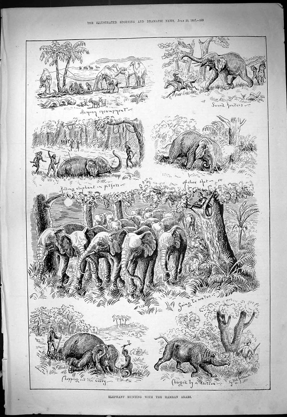 Original Old Antique Print Elephant Hunting Hamran Arabs Encampment Sport 1887