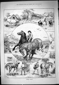 Antique Old Print 1887 Horses Summer Bathing Country Seaside London Washing