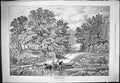Antique Old Print Horses Cart Crossing Brook Foot Bridge Trees 1887 Landscape
