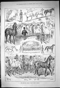 Old Print 1887 Educated Horses Avenue Theatre Military Drill Bellringers 19th
