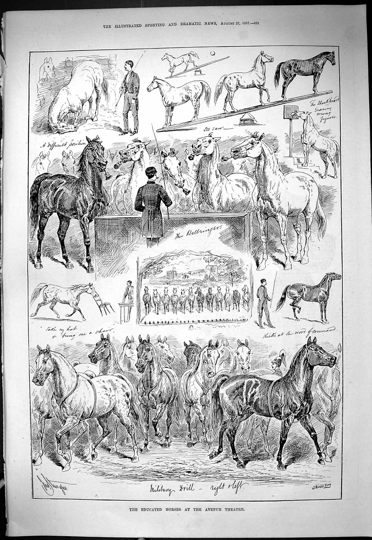 Old Print 1887 Educated Horses Avenue Theatre Military Drill Bellringers 19th