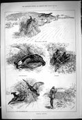 Antique Print 1887 Blackcock Shooting Hunting Birds Stalking Theatre Critic