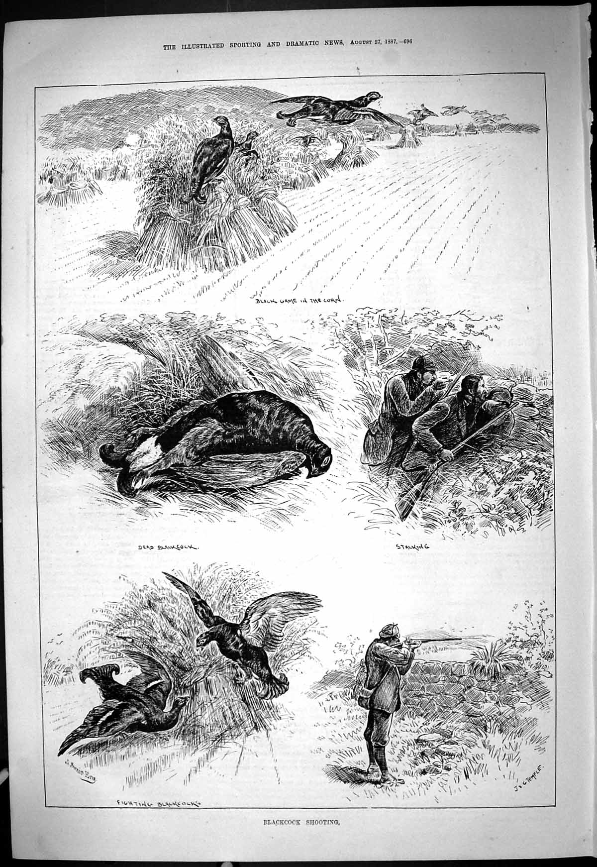 Antique Print 1887 Blackcock Shooting Hunting Birds Stalking Theatre Critic