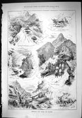 Old Antique Print Mustering Wild Cattle Bull New Zealand Mountains 1887 19th