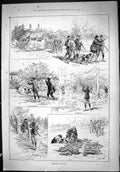 Old Print 1887 Pheasant Shooting Hunting Birds Spinneys Hedge Rows Swain 19th