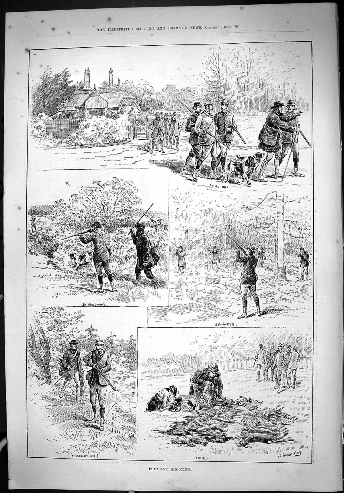 Old Print 1887 Pheasant Shooting Hunting Birds Spinneys Hedge Rows Swain 19th