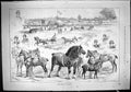 Antique Print 1887 Horse Show Cardiff Adonis Hatheron Tiff Alexander Howell