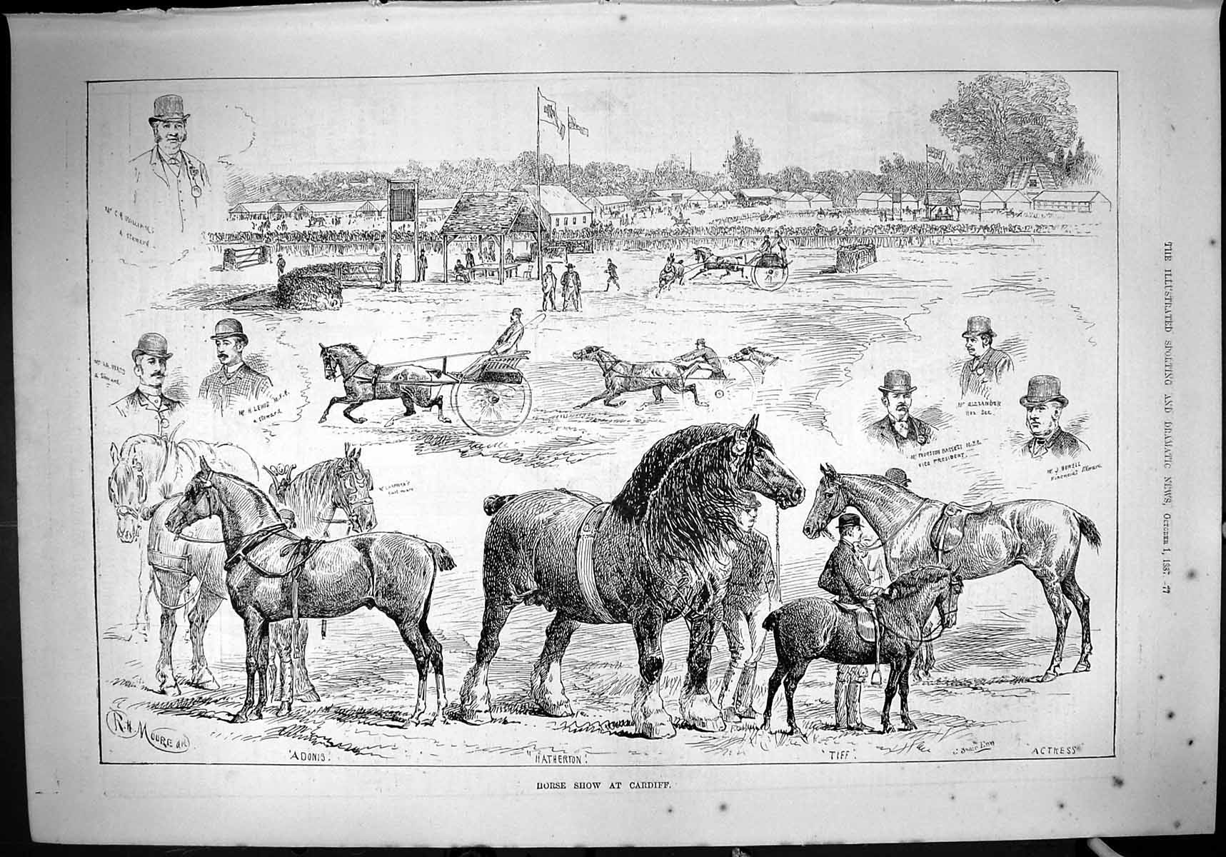 Antique Print 1887 Horse Show Cardiff Adonis Hatheron Tiff Alexander Howell