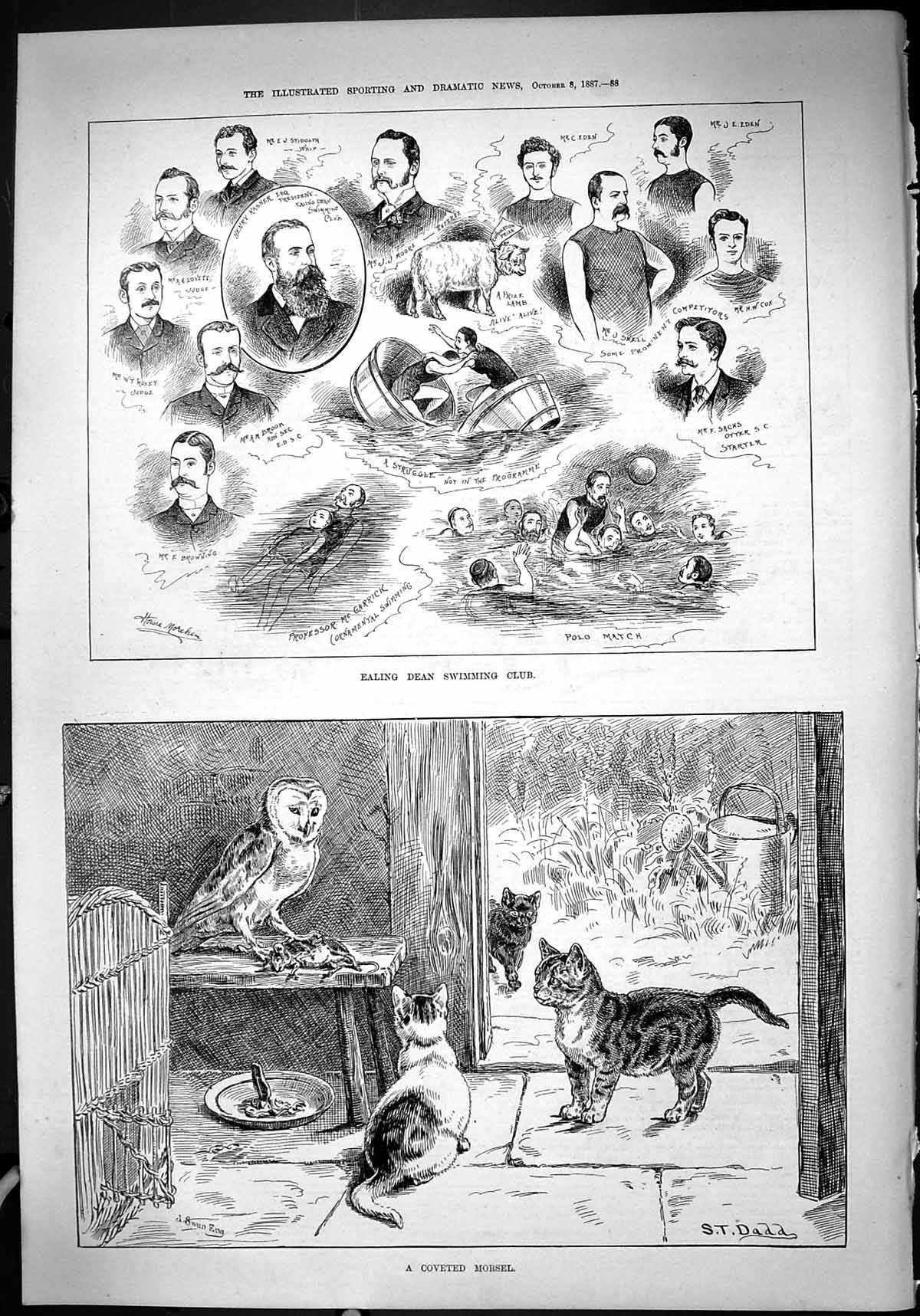 Old 1887 Ealing Dean Swimming Club Brook Stidolph Eden Cox Sachs Moke Victorian