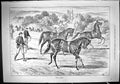 Original Old Antique Print 1887 Early Lessons Horses Training Trainers Jockeys