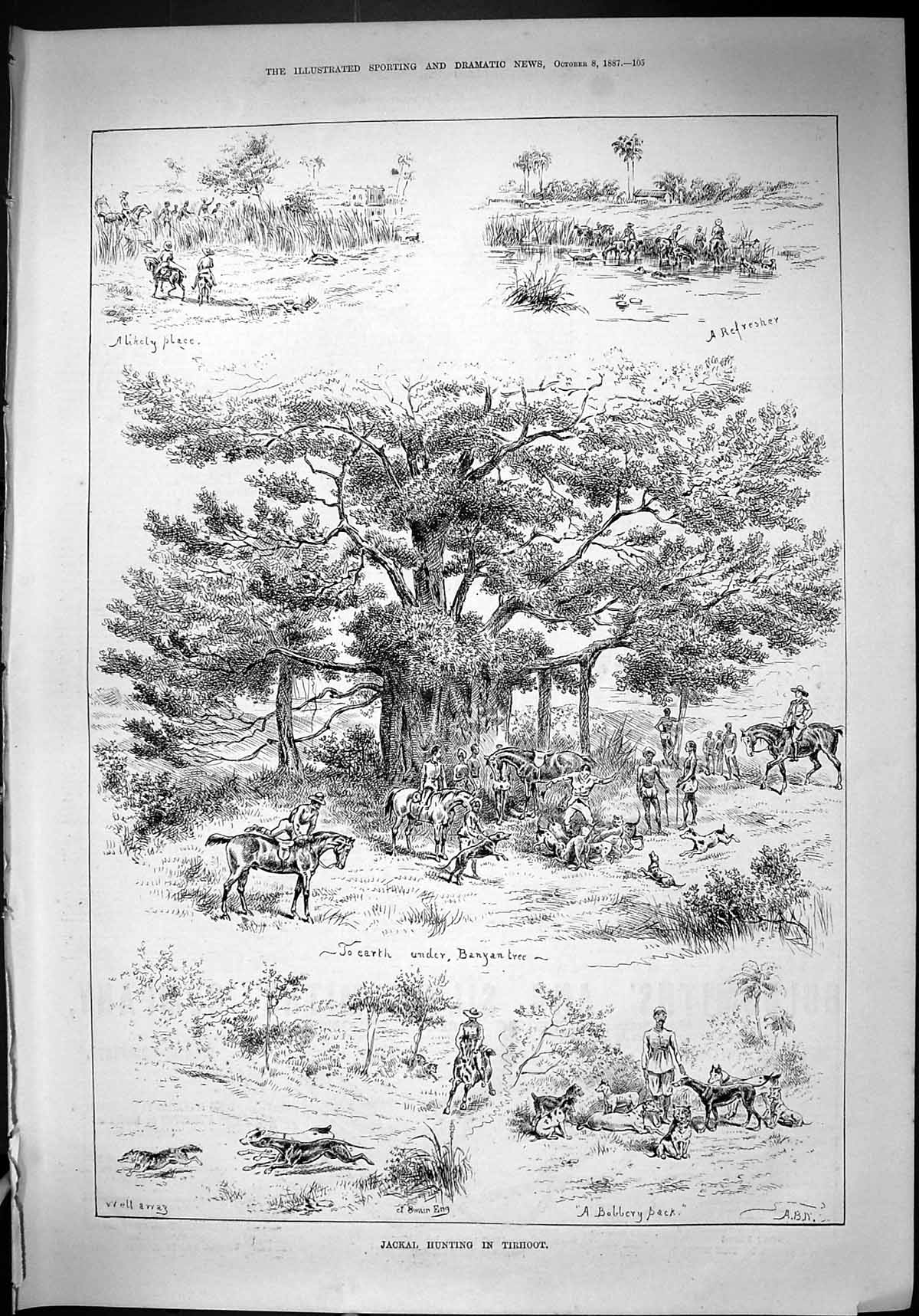 Antique Old Print 1887 Jackal Hunting Tirhoot Banyan Tree Horses Hounds Sport