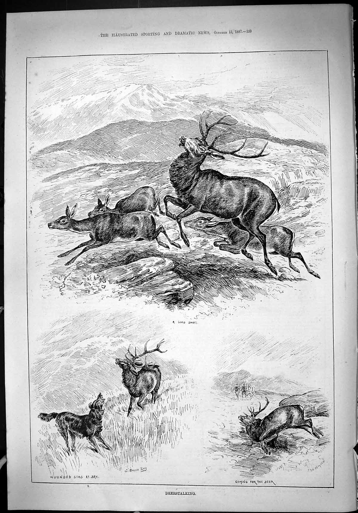 Original Old Antique Print Deer Stalking Hunting Mountains Dogs Sport 1887 19th
