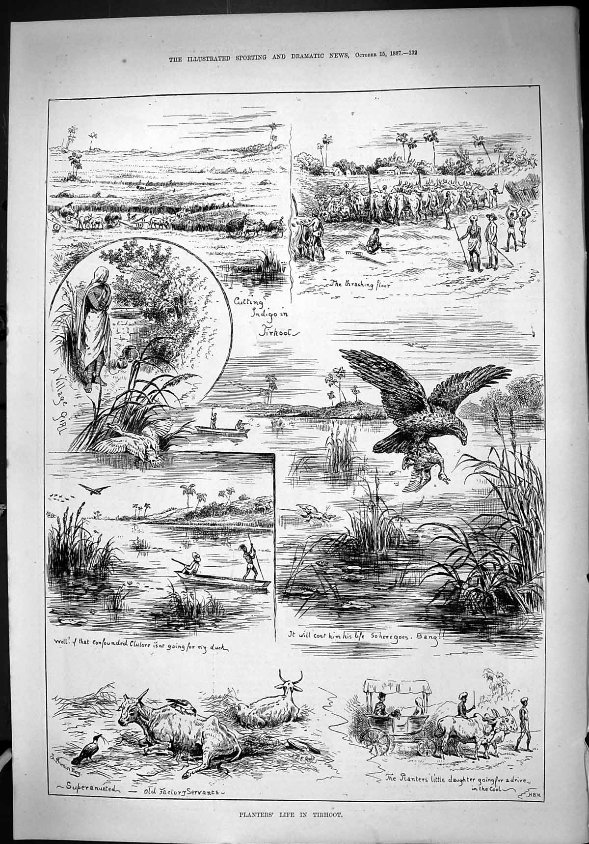 Old Print Theatre Critic 1887 Planters Life Tirhoot Birds Indigo Animals 19th
