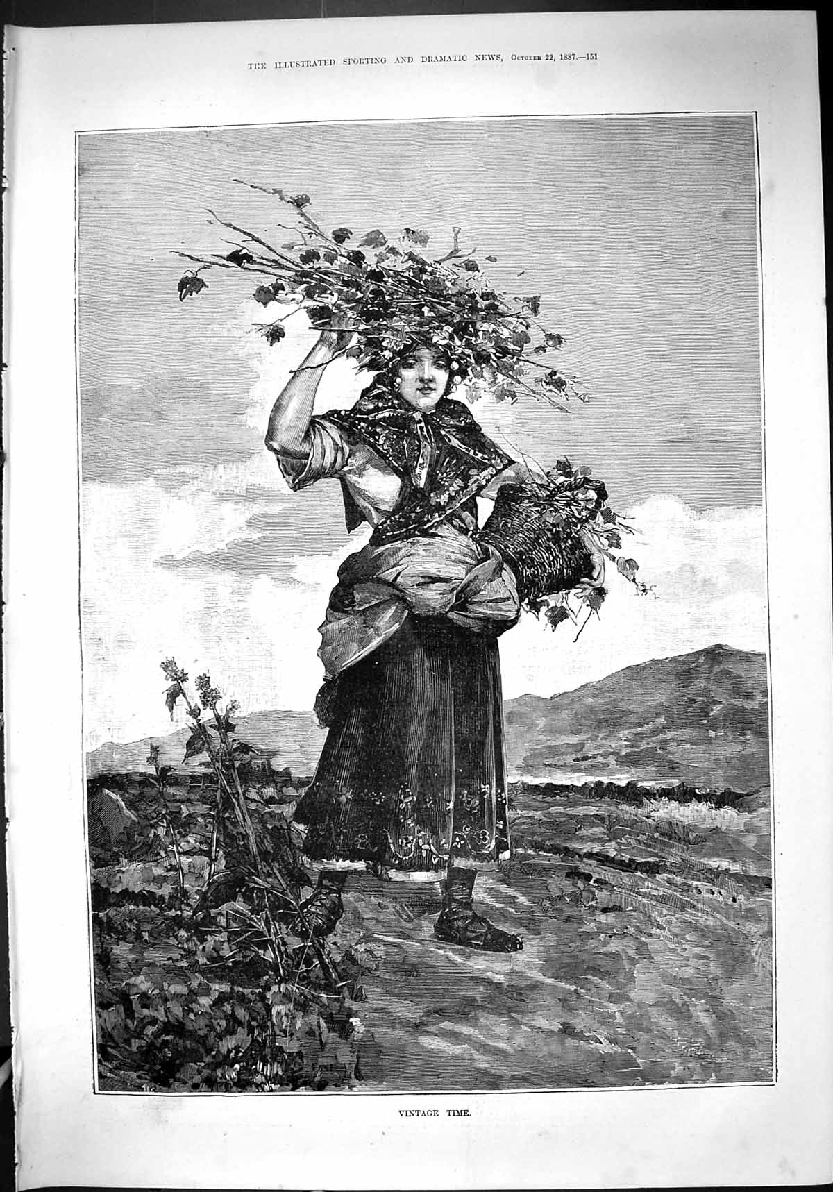 Original Old Antique Print 1887 Scene Lady Gathering Grapes Vines Time 19th