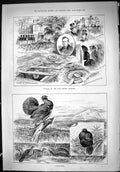 Antique Print 1887 Funeral George Fordham Upton Cemetery Capercailzie Birds