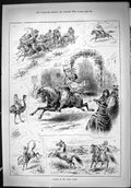 Original Old Antique Print 1887 Sports River Plate Horses Whips Emu Bird 19th