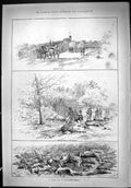 Old Theatre Critic 1887 Blackhall Castle Hunting Roe Deer Drive Birds Victorian