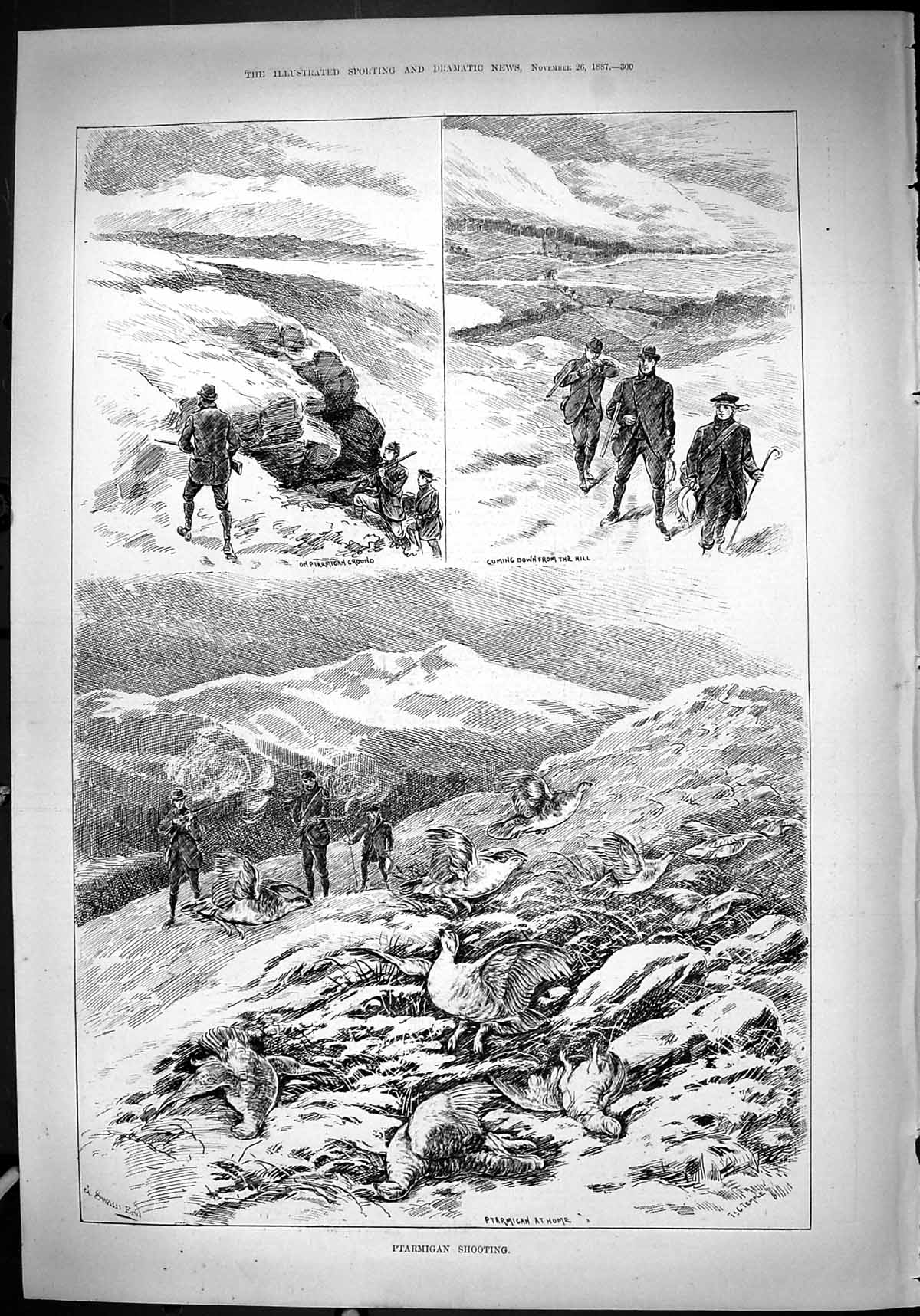 Antique Old Print 1887 Ptarmigan Shooting Birds Hunting Shooting Mountains 19th