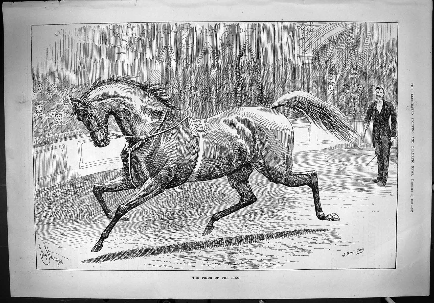 Original Old Antique Print 1887 Pride Ring Horse Trainer Entertainment Swain