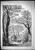 Antique Print 1887 When CStrengthens Man Gathering Winter Wood Horses Cart 19th