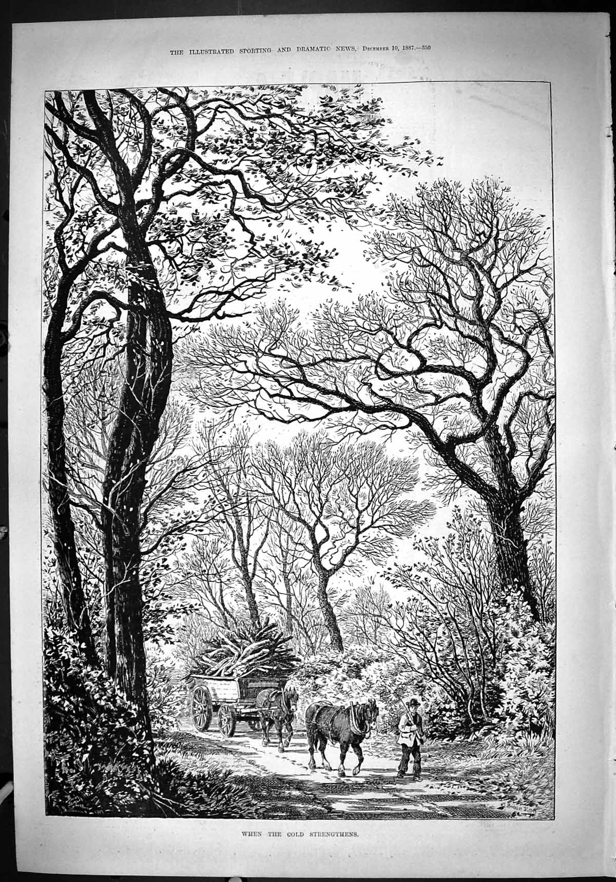 Antique Print 1887 When CStrengthens Man Gathering Winter Wood Horses Cart 19th