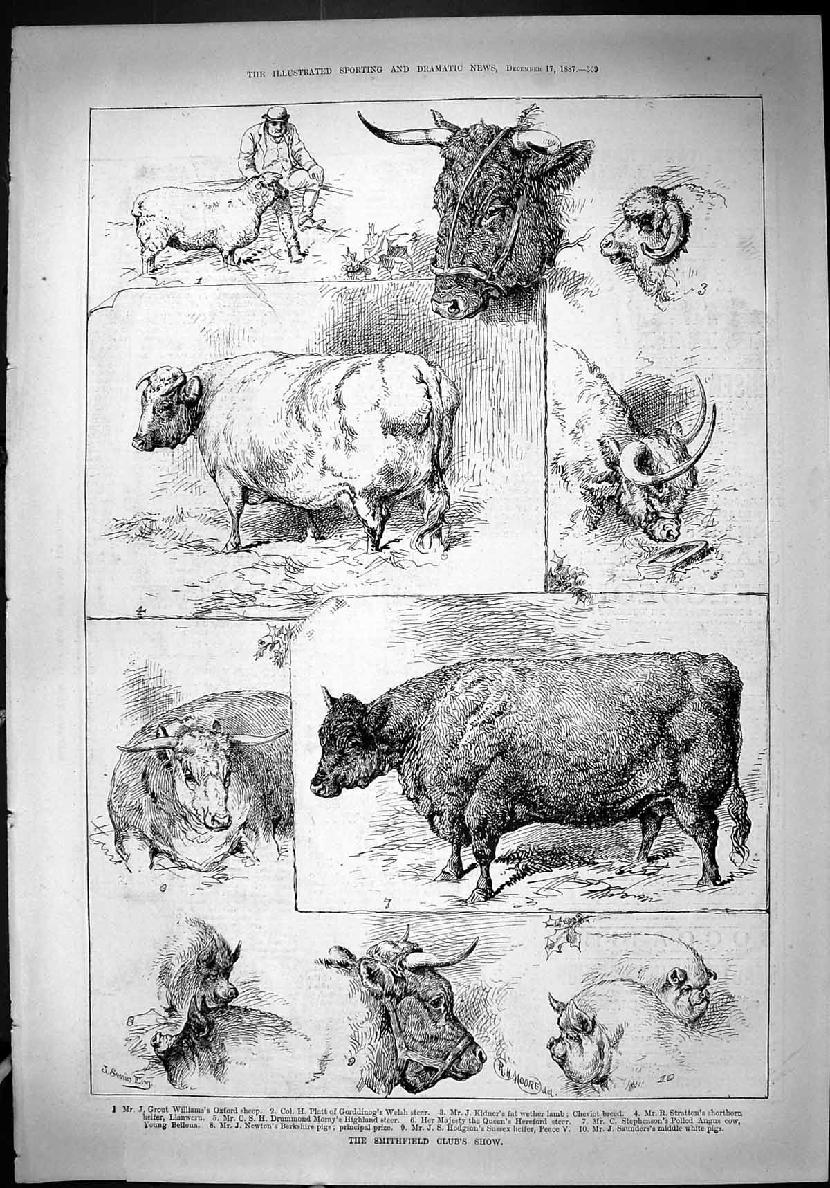 Antique Print 1887 Smithfield Club Show Animals Sheep Lamb Cow Pigs Bellona