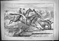 Antique Old Print 1887 Horses Jumping Critical Moment Falling Jockeys Swain