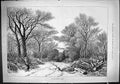 Original Old Antique Print Scene Winter Woods Woman Gathering Sticks Snow 1887