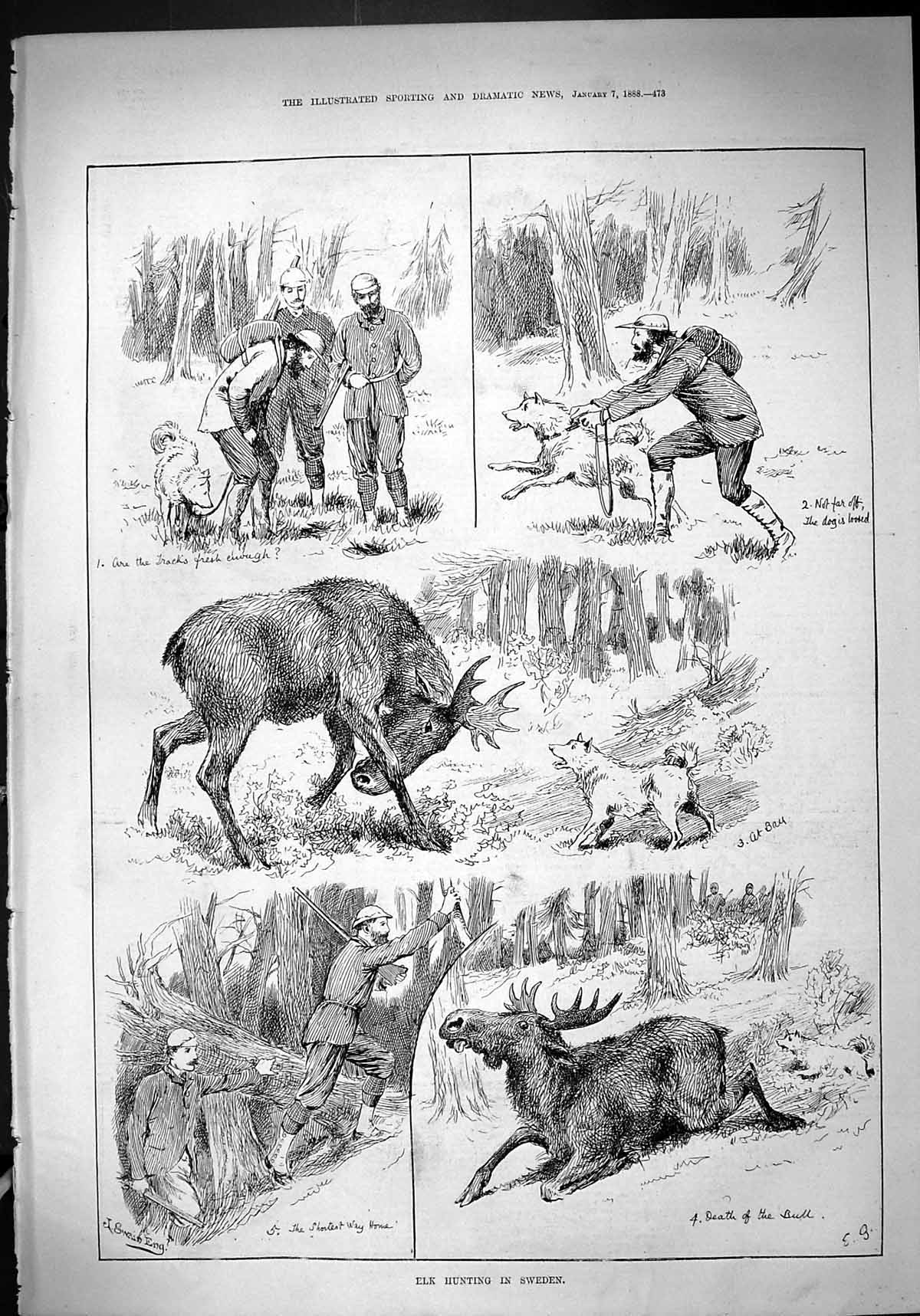 Antique Old Print 1888 Elk Hunting Woods Sweden Dogs Shooting Huntsmen Sport