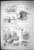 Antique Print 1888 Wildfowling India Birds Shooting Indigo Plantation India