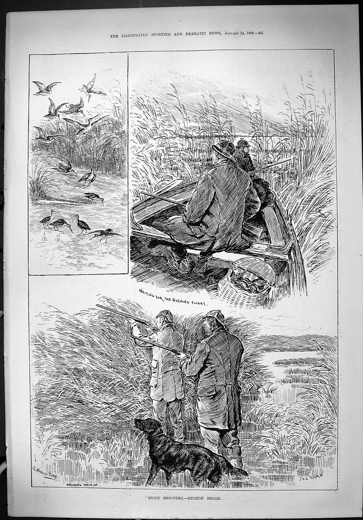 Antique Print 1888 Snipe Birds Shooting Oulton Broad Hunting Men Guns Dogs 19th