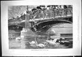 Old Print 1888 Winter Quarters Gulls Lake Leman Birds Swans River Bridge 19th