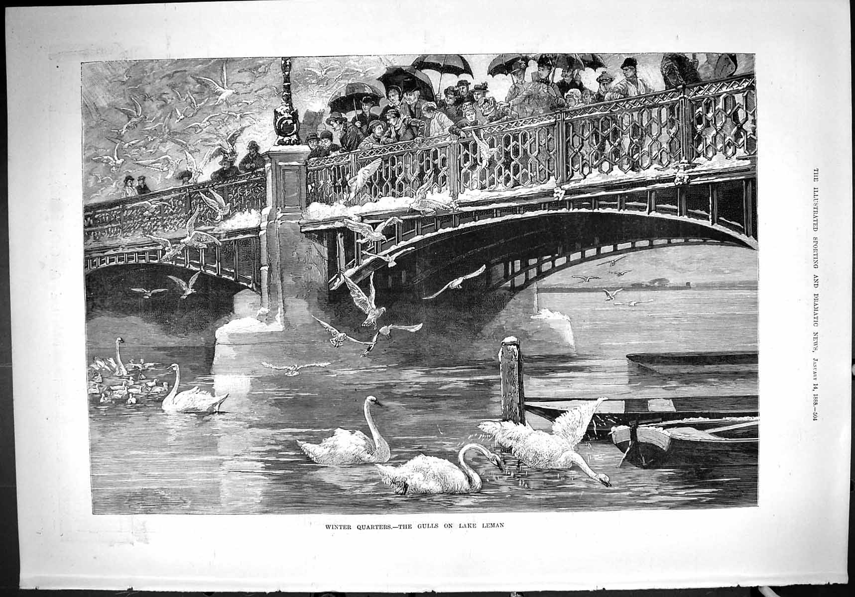 Old Print 1888 Winter Quarters Gulls Lake Leman Birds Swans River Bridge 19th