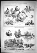 Old 1888 Pigeon Show Crystal Palace Birds Dunloe Harriers Clapton And Victorian
