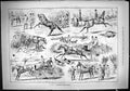 Original Old Antique Print 1888 Amateur Horse Breaking Coach Hounds Hunting