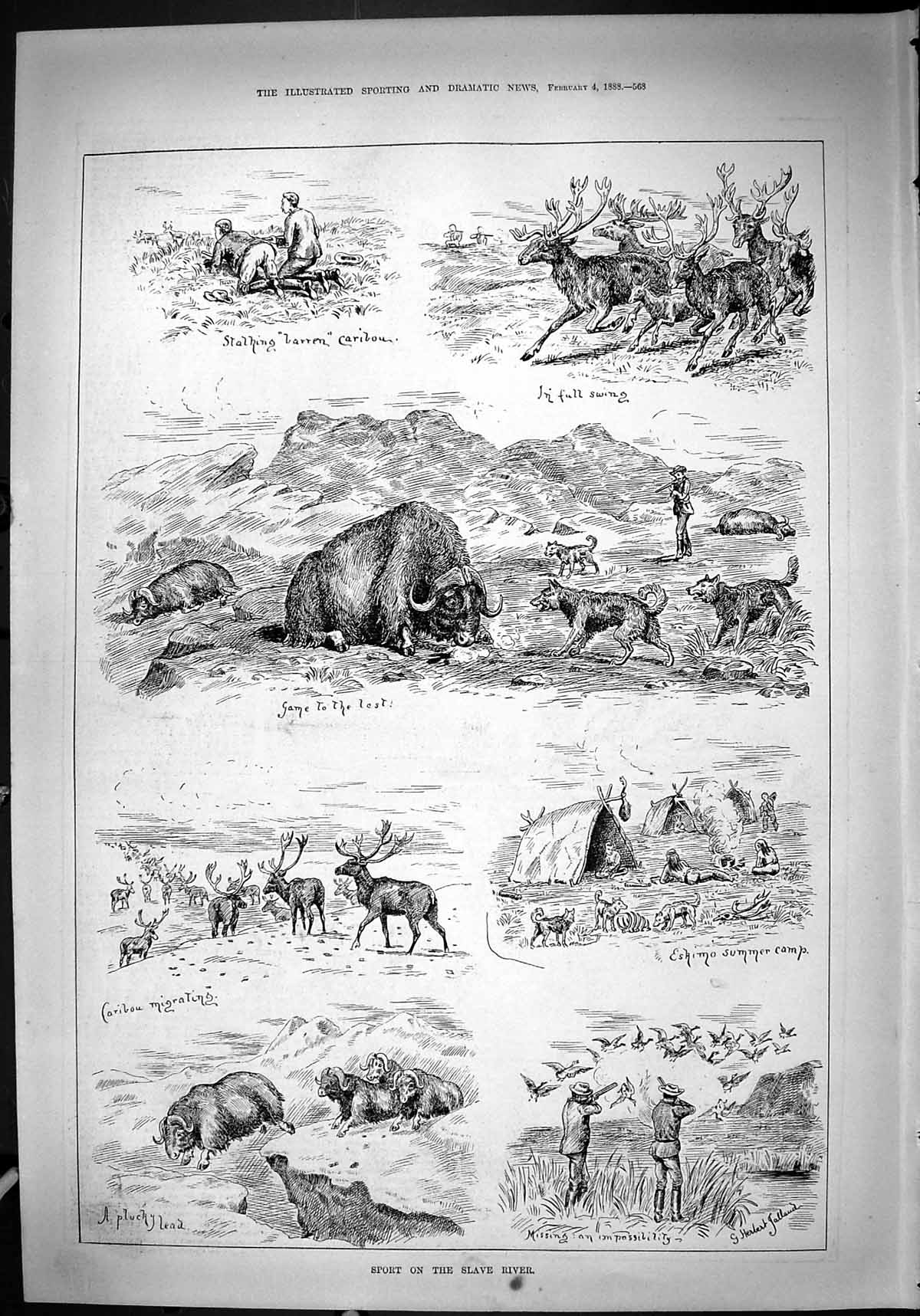 Old Print Sport Slave River Hunting Shooting Animals Caribou Eskimo 1888 19th