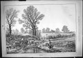 Antique Old Print 1888 February Scene Woman Gathering Wood Horse Cart Stream