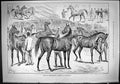 Original Old Antique Print 1888 Show Thoroughbred Stallions Nottingham Horses