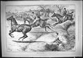 Antique Old Print Hunting Horses Jumping Hedge Fallen Man Huntsmen Sport 1888