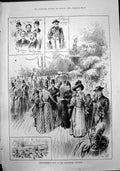 Old Print Chrysanthemum Show Westminster Aquarium Mr Linsley Holmes 1888 19th