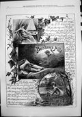Old Beechams Pills St Jacobs Oil Veterinary Purposes Burberry Coats
