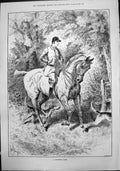 Original Old Antique Print Doubtful Note J Sturgess Horse Hesitating Fence 1888