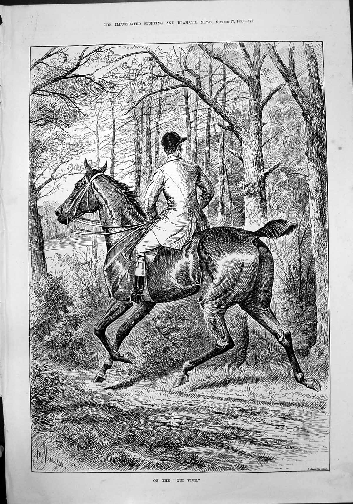 Original Old Antique Print On The Qui Vive J Sturgess Horse Rider Woods 1888