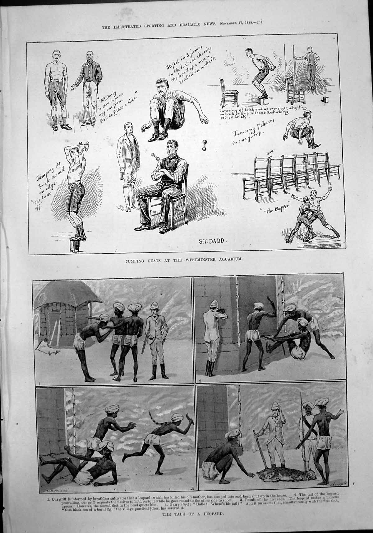 Original Old Antique Print Jumping Feats Westminster Aquarium Tale Leopard 1888