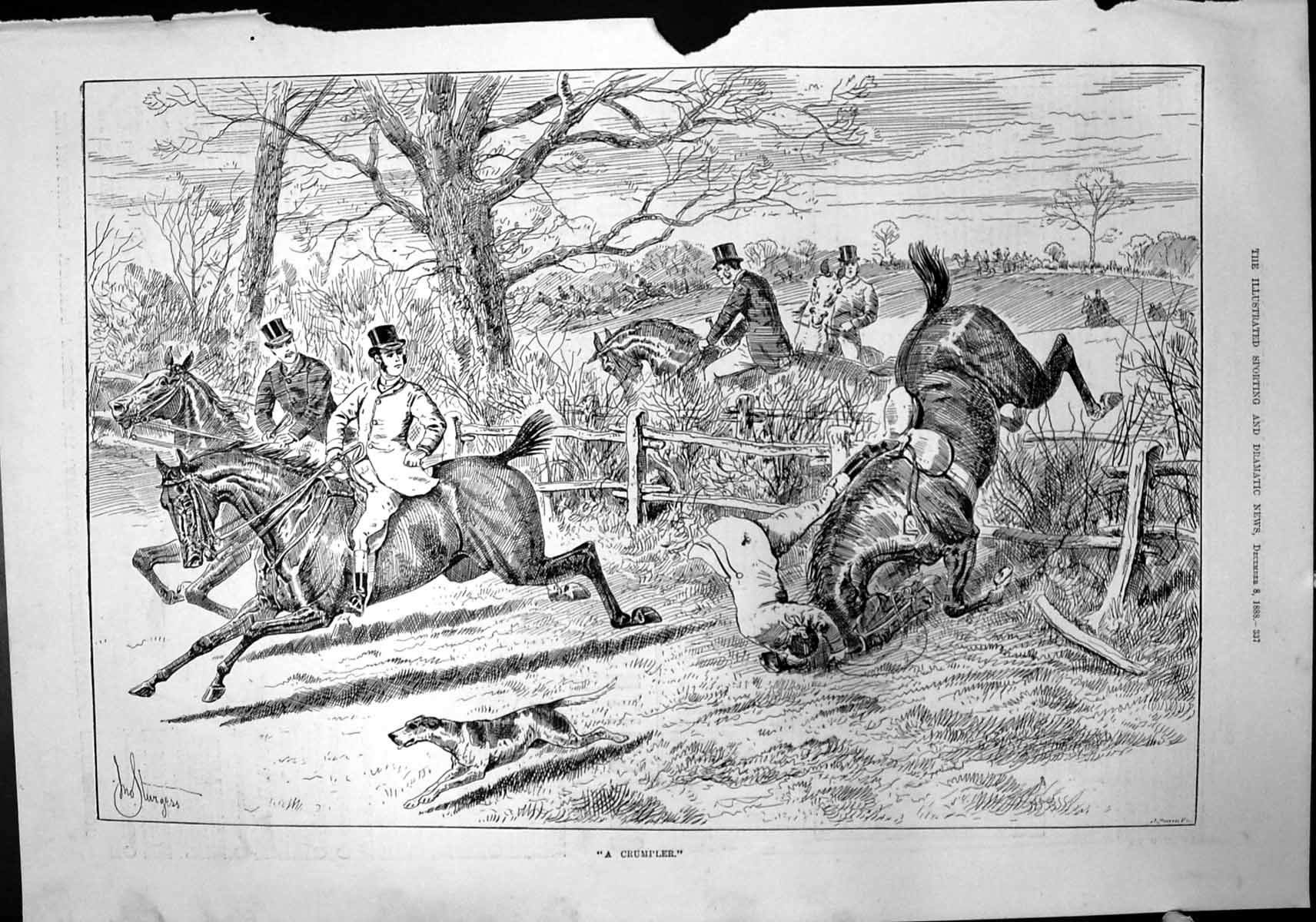 Original Old Antique Print Crumpler J Sturgess Horse Rider Fall Fence 1888 19th