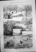 Old Shooting France Deer Geese Captain H E Davis Fire Rescue Exhibiti