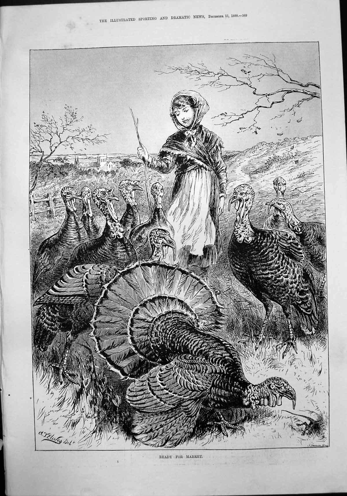 Antique Print Ready For Market A Elives Girl Stick Countryside Turkeys 1888