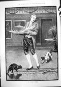 Old Antique Print Pudding Danger Cat Dog Smithfield Show Islington 1888 19th