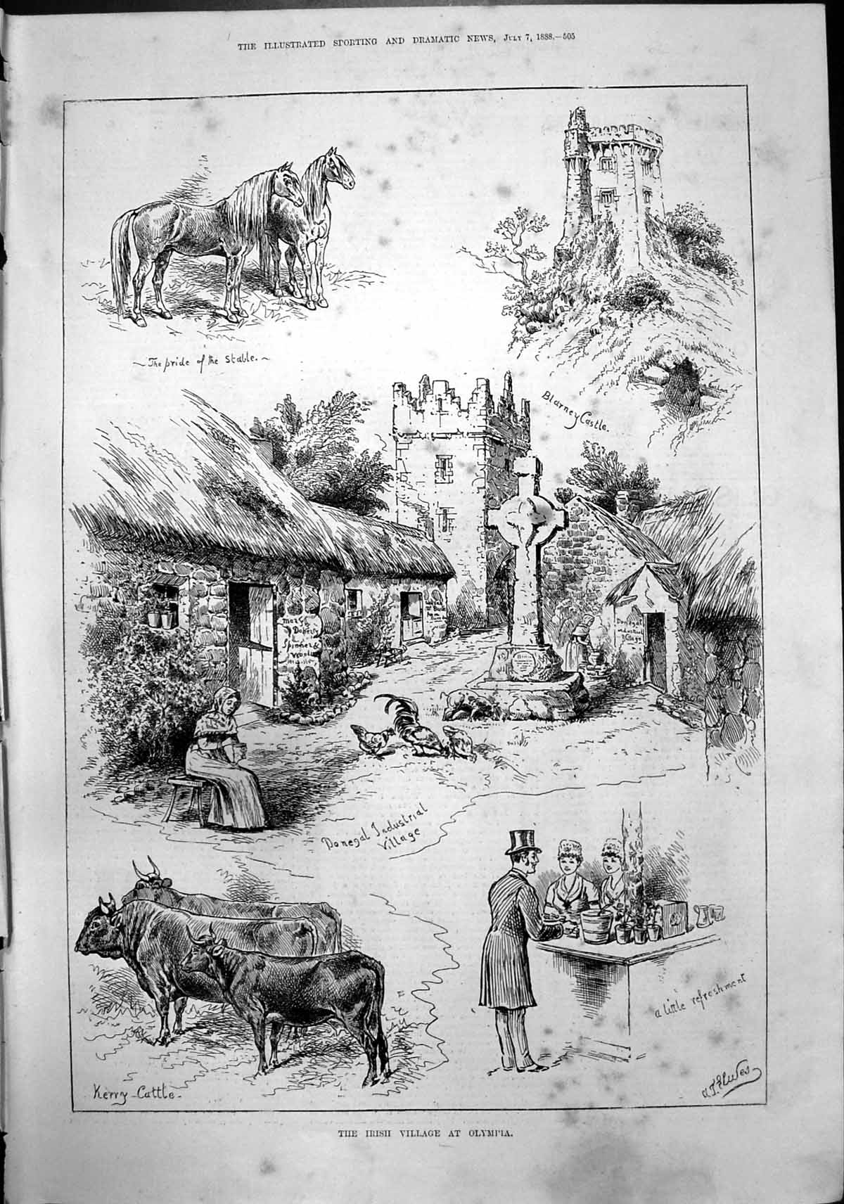 Old Irish Village Olympia Blarney Castle Donegal Village Kerry Cattle