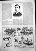 Old H H Morell Dera Ghazi Khan Horse Fair Beloochee Fillies Camels 18 Victorian